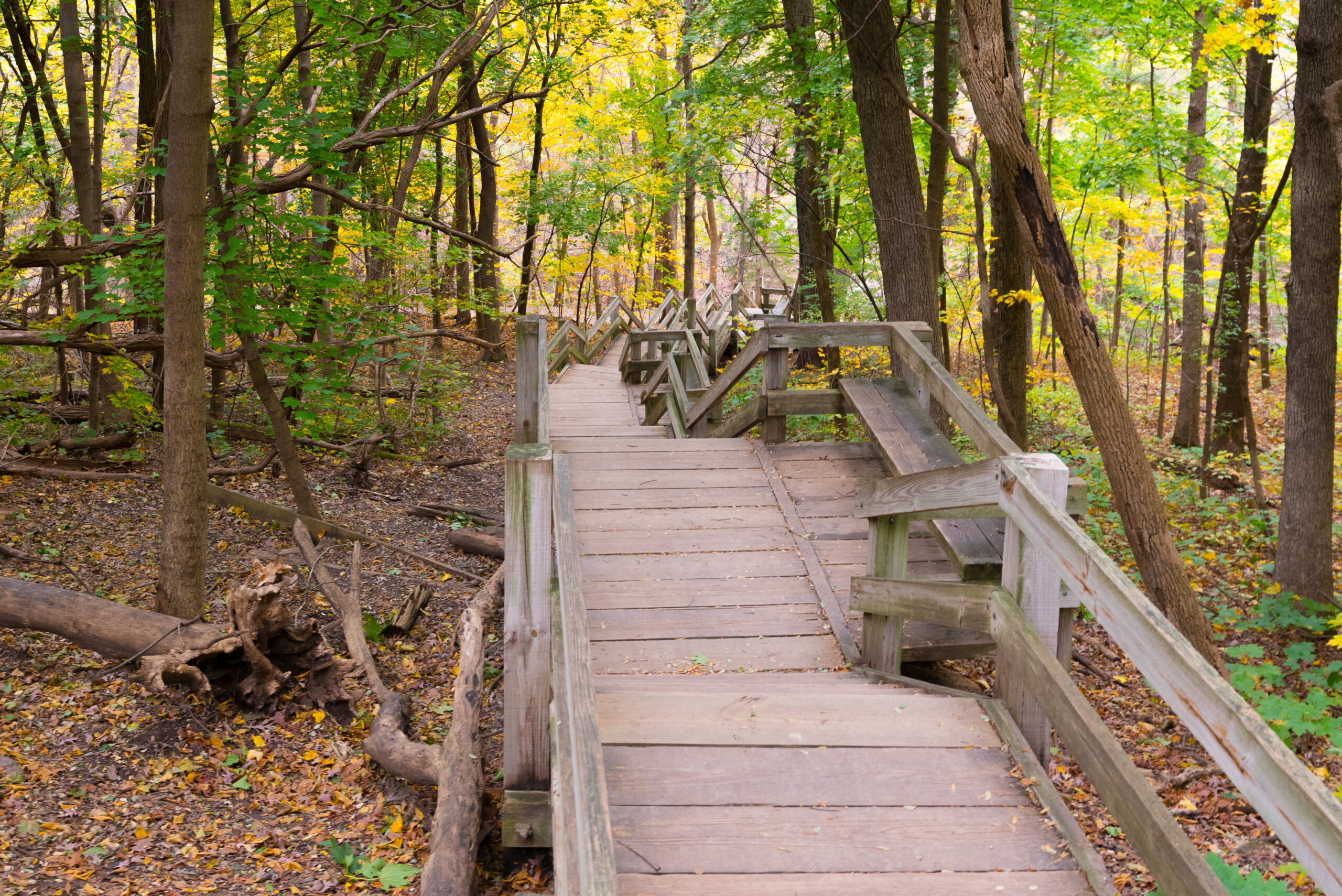 Wolf Trap National Park
